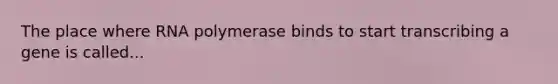 The place where RNA polymerase binds to start transcribing a gene is called...