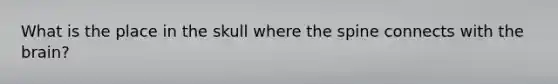 What is the place in the skull where the spine connects with the brain?