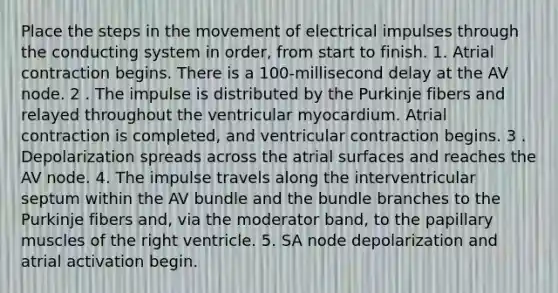 Place the steps in the movement of electrical impulses through the conducting system in order, from start to finish. 1. Atrial contraction begins. There is a 100-millisecond delay at the AV node. 2 . The impulse is distributed by the Purkinje fibers and relayed throughout the ventricular myocardium. Atrial contraction is completed, and ventricular contraction begins. 3 . Depolarization spreads across the atrial surfaces and reaches the AV node. 4. The impulse travels along the interventricular septum within the AV bundle and the bundle branches to the Purkinje fibers and, via the moderator band, to the papillary muscles of the right ventricle. 5. SA node depolarization and atrial activation begin.