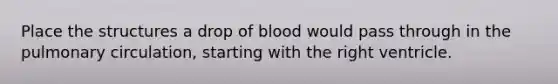 Place the structures a drop of blood would pass through in the pulmonary circulation, starting with the right ventricle.