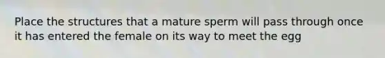 Place the structures that a mature sperm will pass through once it has entered the female on its way to meet the egg