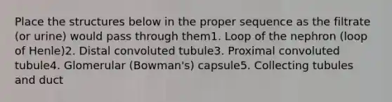 Place the structures below in the proper sequence as the filtrate (or urine) would pass through them1. Loop of the nephron (loop of Henle)2. Distal convoluted tubule3. Proximal convoluted tubule4. Glomerular (Bowman's) capsule5. Collecting tubules and duct