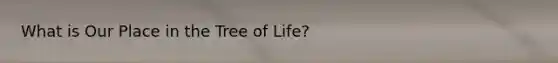 What is Our Place in the Tree of Life?