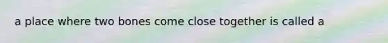 a place where two bones come close together is called a