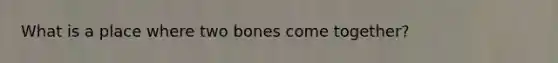 What is a place where two bones come together?