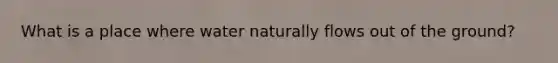 What is a place where water naturally flows out of the ground?