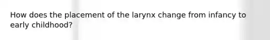 How does the placement of the larynx change from infancy to early childhood?