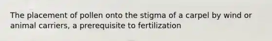 The placement of pollen onto the stigma of a carpel by wind or animal carriers, a prerequisite to fertilization