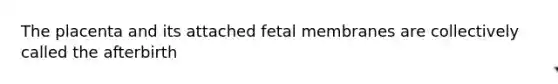 The placenta and its attached fetal membranes are collectively called the afterbirth