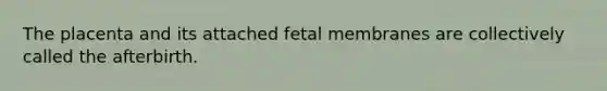 The placenta and its attached fetal membranes are collectively called the afterbirth.