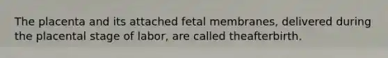 The placenta and its attached fetal membranes, delivered during the placental stage of labor, are called theafterbirth.