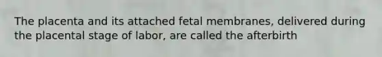 The placenta and its attached fetal membranes, delivered during the placental stage of labor, are called the afterbirth