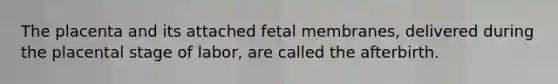 The placenta and its attached fetal membranes, delivered during the placental stage of labor, are called the afterbirth.