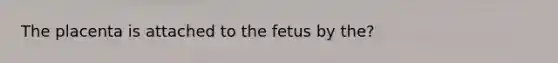 The placenta is attached to the fetus by the?