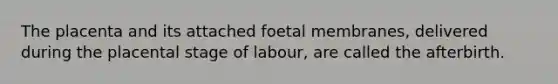 The placenta and its attached foetal membranes, delivered during the placental stage of labour, are called the afterbirth.