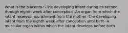 What is the placenta? -The developing infant during its second through eighth week after conception -An organ from which the infant receives nourishment from the mother -The developing infant from the eighth week after conception until birth -A muscular organ within which the infant develops before birth