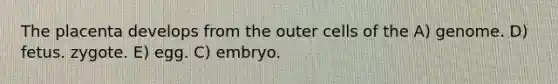 The placenta develops from the outer cells of the A) genome. D) fetus. zygote. E) egg. C) embryo.