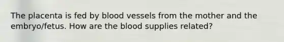 The placenta is fed by <a href='https://www.questionai.com/knowledge/kZJ3mNKN7P-blood-vessels' class='anchor-knowledge'>blood vessels</a> from the mother and the embryo/fetus. How are <a href='https://www.questionai.com/knowledge/k7oXMfj7lk-the-blood' class='anchor-knowledge'>the blood</a> supplies related?