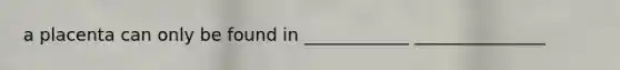 a placenta can only be found in ____________ _______________