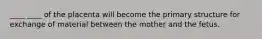 ____ ____ of the placenta will become the primary structure for exchange of material between the mother and the fetus.