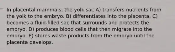 In placental mammals, the yolk sac A) transfers nutrients from the yolk to the embryo. B) differentiates into the placenta. C) becomes a fluid-filled sac that surrounds and protects the embryo. D) produces blood cells that then migrate into the embryo. E) stores waste products from the embryo until the placenta develops.