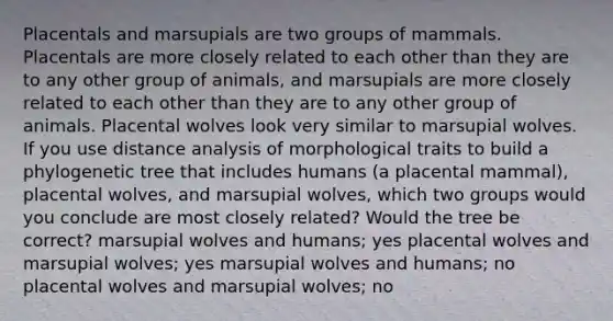 Placentals and marsupials are two groups of mammals. Placentals are more closely related to each other than they are to any other group of animals, and marsupials are more closely related to each other than they are to any other group of animals. Placental wolves look very similar to marsupial wolves. If you use distance analysis of morphological traits to build a phylogenetic tree that includes humans (a placental mammal), placental wolves, and marsupial wolves, which two groups would you conclude are most closely related? Would the tree be correct? marsupial wolves and humans; yes placental wolves and marsupial wolves; yes marsupial wolves and humans; no placental wolves and marsupial wolves; no