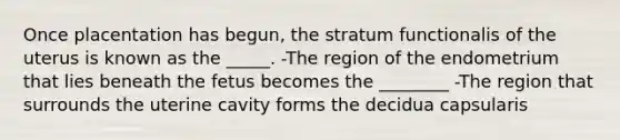 Once placentation has begun, the stratum functionalis of the uterus is known as the _____. -The region of the endometrium that lies beneath the fetus becomes the ________ -The region that surrounds the uterine cavity forms the decidua capsularis