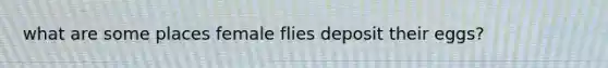 what are some places female flies deposit their eggs?