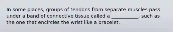 In some places, groups of tendons from separate muscles pass under a band of connective tissue called a ___________, such as the one that encircles the wrist like a bracelet.