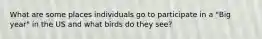 What are some places individuals go to participate in a "Big year" in the US and what birds do they see?