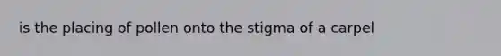 is the placing of pollen onto the stigma of a carpel