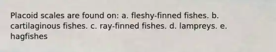 Placoid scales are found on: a. fleshy-finned fishes. b. cartilaginous fishes. c. ray-finned fishes. d. lampreys. e. hagfishes