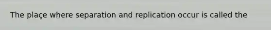 The plaçe where separation and replication occur is called the