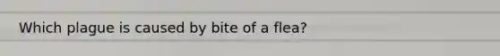 Which plague is caused by bite of a flea?