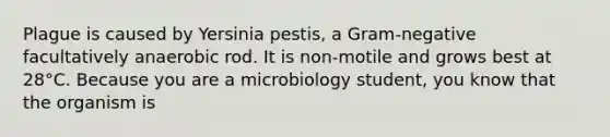 Plague is caused by Yersinia pestis, a Gram-negative facultatively anaerobic rod. It is non-motile and grows best at 28°C. Because you are a microbiology student, you know that the organism is