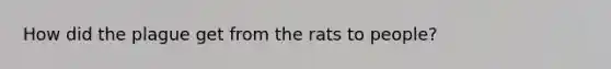 How did the plague get from the rats to people?