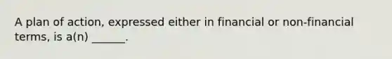 A plan of action, expressed either in financial or non-financial terms, is a(n) ______.