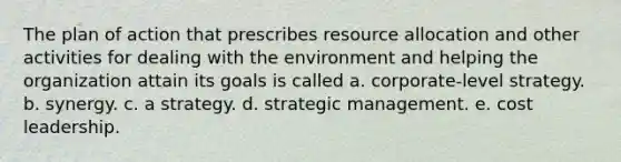 The plan of action that prescribes <a href='https://www.questionai.com/knowledge/kadTveDlwH-resource-allocation' class='anchor-knowledge'>resource allocation</a> and other activities for dealing with the environment and helping the organization attain its goals is called a. corporate-level strategy. b. synergy. c. a strategy. d. <a href='https://www.questionai.com/knowledge/k5Dplt4I1O-strategic-management' class='anchor-knowledge'>strategic management</a>. e. cost leadership.