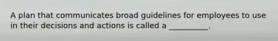 A plan that communicates broad guidelines for employees to use in their decisions and actions is called a __________.