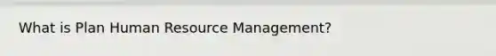 What is Plan Human Resource Management?