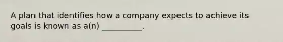 A plan that identifies how a company expects to achieve its goals is known as a(n) __________.