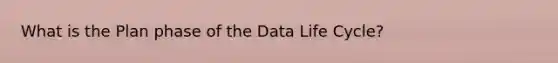 What is the Plan phase of the Data Life Cycle?