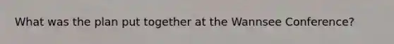 What was the plan put together at the Wannsee Conference?
