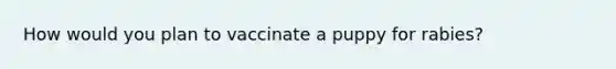 How would you plan to vaccinate a puppy for rabies?
