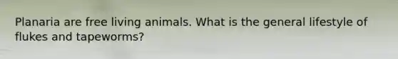 Planaria are free living animals. What is the general lifestyle of flukes and tapeworms?