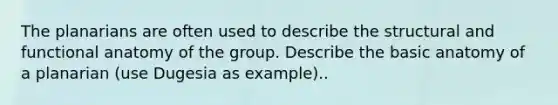 The planarians are often used to describe the structural and functional anatomy of the group. Describe the basic anatomy of a planarian (use Dugesia as example)..