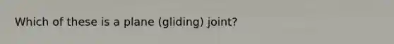 Which of these is a plane (gliding) joint?