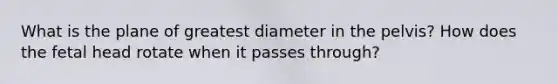 What is the plane of greatest diameter in the pelvis? How does the fetal head rotate when it passes through?