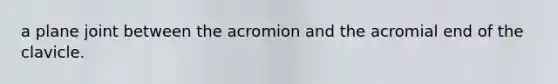 a plane joint between the acromion and the acromial end of the clavicle.