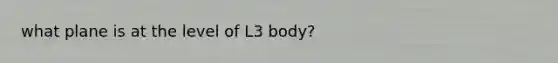 what plane is at the level of L3 body?